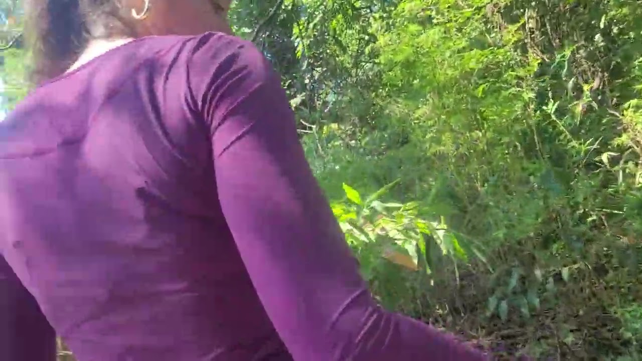 Rancho do Paulão dezembro - Em busca das mangas - parte1