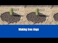 Making a tree ring from scratch