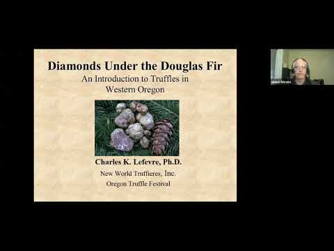 Vídeo: Douglas Fir Information - Aprenda sobre o cultivo de Douglas Firs