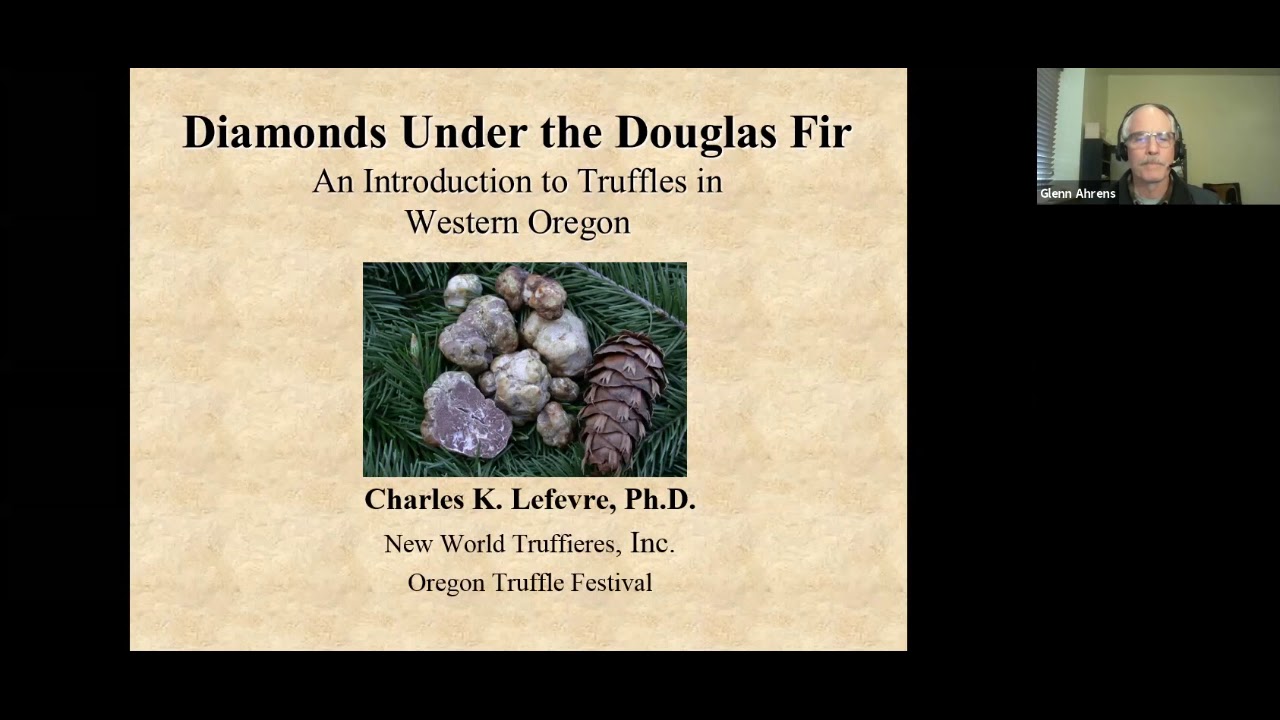Tree School Online: Diamonds Under the Douglas-fir