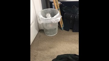 Physicists be like...