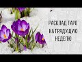 Весна,личная жизнь. Гадание на картах Таро, Ленорман и кофейной гуще 👍❤️❤️❤️ Сиреневая и Розовая 👸