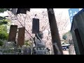 2024  鶴羽根神社 春〜SAKURA〜