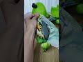 Mega Jurassic Lightup Dino #jurassicworld #unboxing #asmr