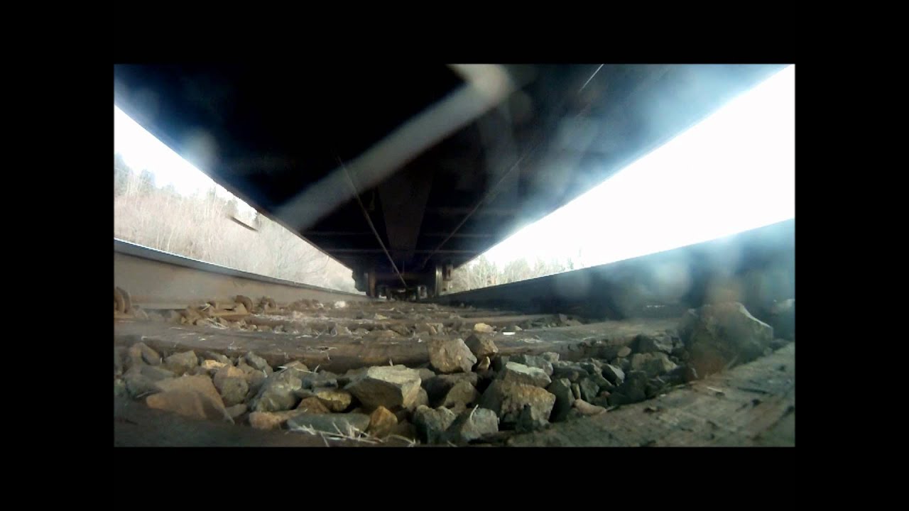 Deer getting hit by a train!!!!! YouTube