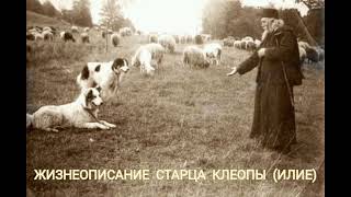 Жизнеописание старца Клеопы (Илие)