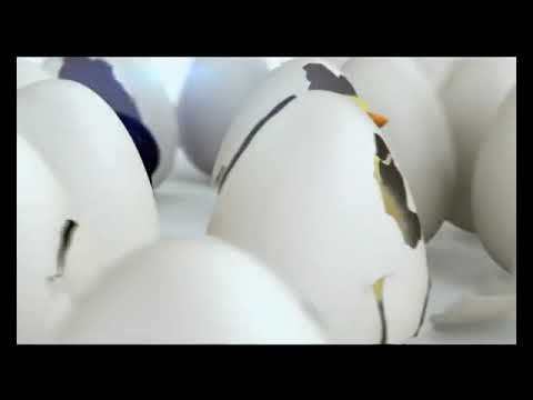 BEELINE 1 - "What's Crackin"