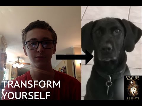 Ready to transform? content media