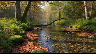 Flowing River Ambience 🌊 Peaceful Sound for Meditation, Focus, and Deep Relaxation #584