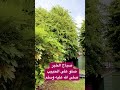 جيل سبيستون لما يصحى سبيستون 2023 