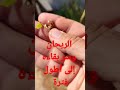 الريحان وسر بقاءه  زراعة الريحان محمد سعد الدين القاسم