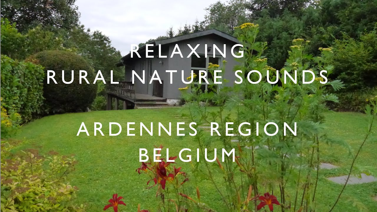 Relaxing Nature Sounds | Birdsong, Rural Ambiance, Distant River | Ardennes Region, Belgium