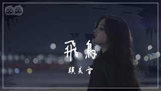 賴美雲 - 飛鳥『我們就像一對飛鳥 承擔著無數的想念 要遷徙 到很遠很遠』【動態歌詞/PinyinLyrics】