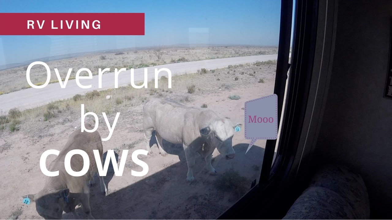 RV Living How to Change the Oil in a Class A Motorhome YouTube