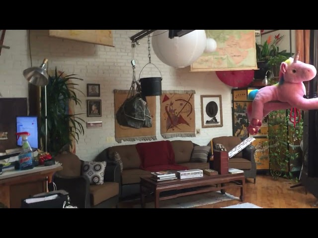 Video 1: Welcome to our cozy loft in Williamsburg, Brooklyn.