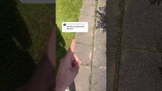 Tutorial at 100k likes