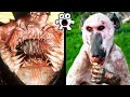 डरवाने जानवर जिनसे आप कभी मिलना पसंद नहीं करेंगे | Terrifying Animals You Wouldn’t Want to Encounter