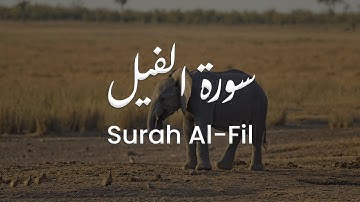 سورة الفيل للشيخ علي البراق | المصحف المرتل