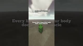 Download Lagu ELI5:How are the earthquake survivors able to live without water? #askreddit #reddit #redditstories MP3