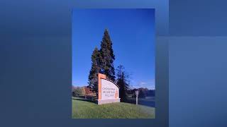 Best Place to Stay in Wisconsin Dells -  Resort Cabin Tour | Family Friendly 2BR Cabin 5 pools GOLF 