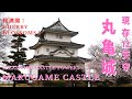 2022【4K】丸亀城で桜満開 MARUGAME CASTLE CHERRY BLOSSOMS 丸龜城櫻花盛開