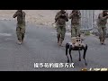 中國機器狼巷戰實裝，未來戰爭新生代 #机器狼 #巷战 #实拍画面 #未来战场 #强国重器