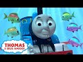 Thomas o Submarino | Compilação | Desejos mágicos de aniversário do Thomas | Desenho Animados