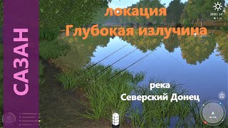 :   4 -    -   