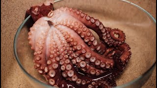 Как приготовить осьминога? Осьминог рецепт! ✧ Octopus recipe