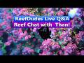 ReefDudes Live Saltwater Reef Chat Q&amp;A with Than from Tidal Gardens