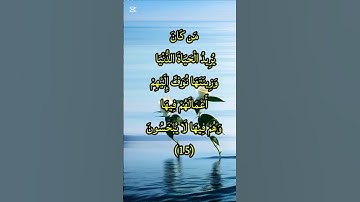 تلاوة خاشعة مؤثرة | سورة هود الآية 15 بصوت عذب يلامس القلوب
