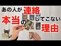 【怖いけど知りたい‼️🙈】あの人が連絡しない本当の理由🍀