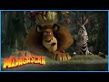 DreamWorks Madagascar | Alex and Marty Best Friends Compilation | Madagascar Funny Scenes