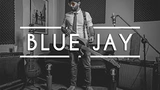 Blue Jay - Roy Smith
