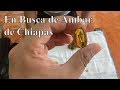 En Busca de Ámbar de Chiapas