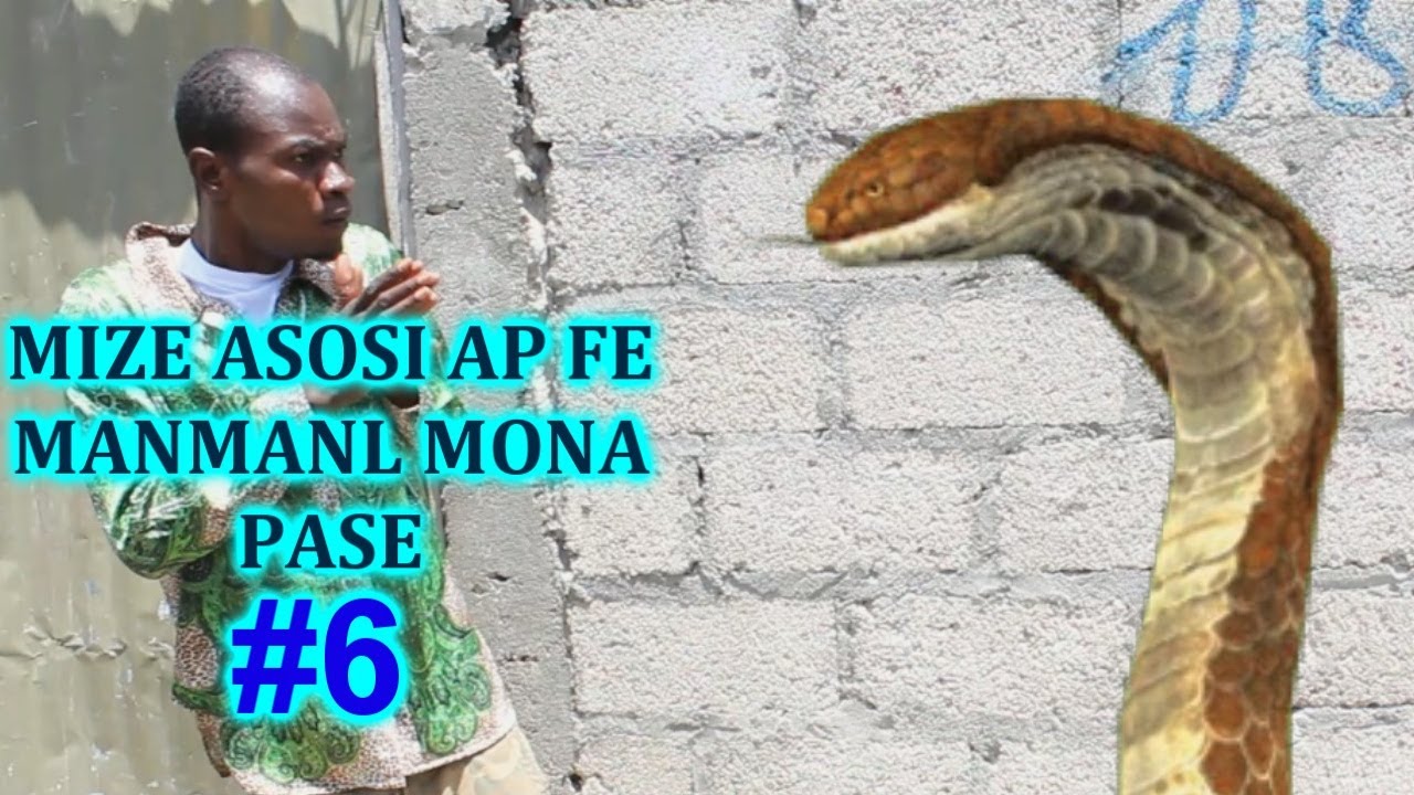 MIZE ASOSI AP FE MANMANL MONA PASE #6