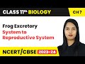 Frog Excretory System to Reproductive System - Structural Organisation in Animals | Class 11 Biology