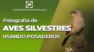 Belen Etchegaray - Fotografía de Naturaleza