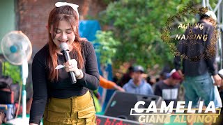 CAMELIA - GIANA ALFINOT ll DK MUSIK WEDDING AGUNG & NANING LIVE KALIYOSO KUDUS