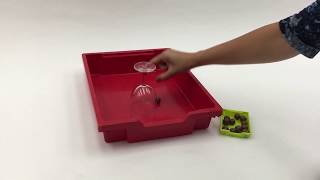 - Science Project - Defying Gravity Centripetal Force