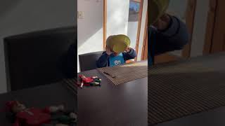 Mirko chancho