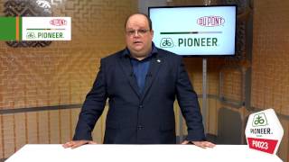 Hibridul de porumb Pioneer P0023 - FAO 400