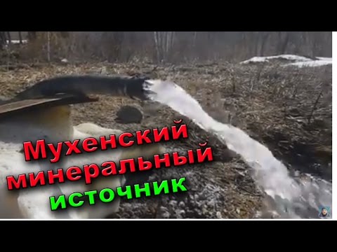 ГАЗИРОВКА В ТАЙГЕ | Natural mineral water