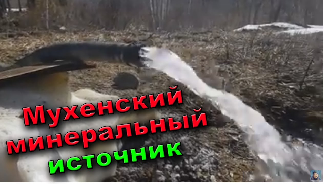 ГАЗИРОВКА В ТАЙГЕ | Natural mineral water