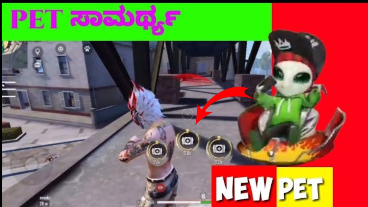 Moony new Pet Ability Test Free Fire,Free Fire New Pet Ability Test,Moony Pet Skill Test In Kannada