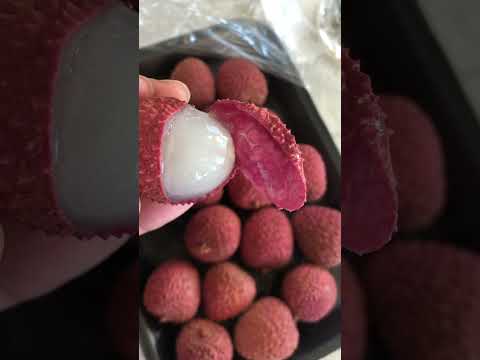 EXOTIC FRUIT |