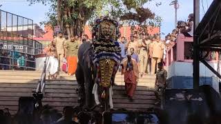 Sabarimala Arattu 05 Apr 2023 Swamya Sharanamayyappa Part - I