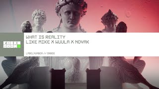 Like Mike x WUULA x Novak - What Is Reality [Official Visualizer] Resimi