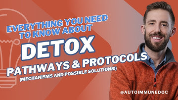 Everything You Need to Know About Detox Pathways & Protocols