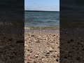 Last days of summer #shorts #East Hamptons